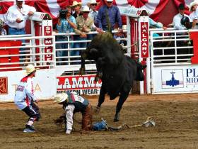 2e1ax Default Frontpage Calgary 52941 640