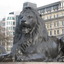 Lions of London