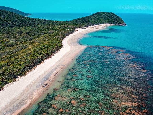 cape tribulation queensland australia