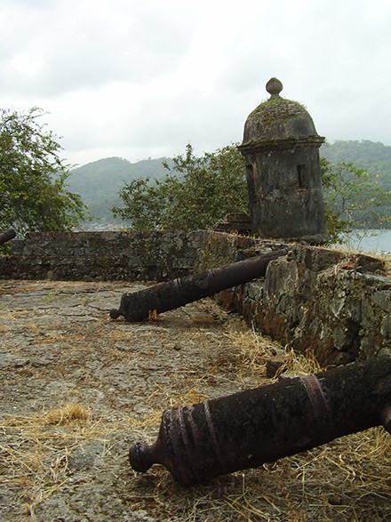 Jungle Trekking on the Pirate Coast in Panama