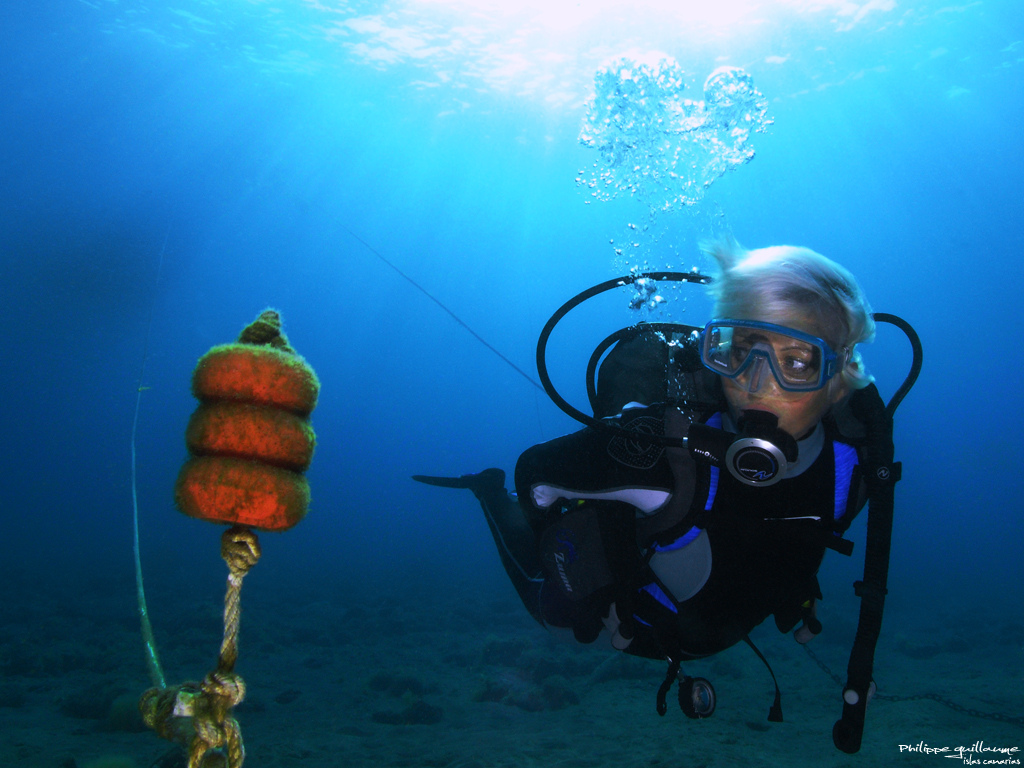 canary islands diving