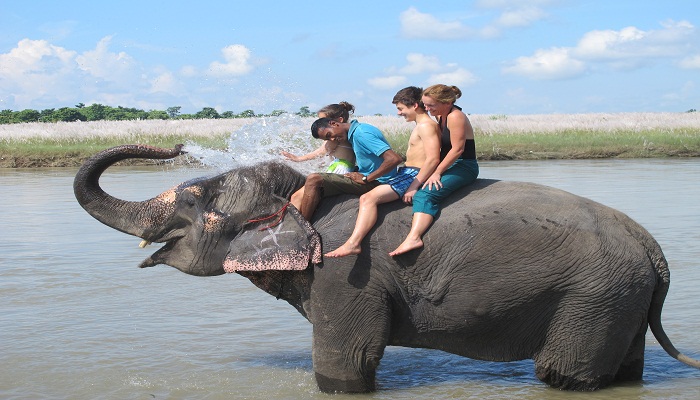 Playing with Elephant in Sauhaura