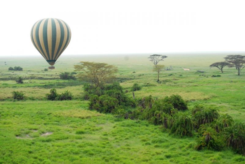 Balloon Tour Serengethi