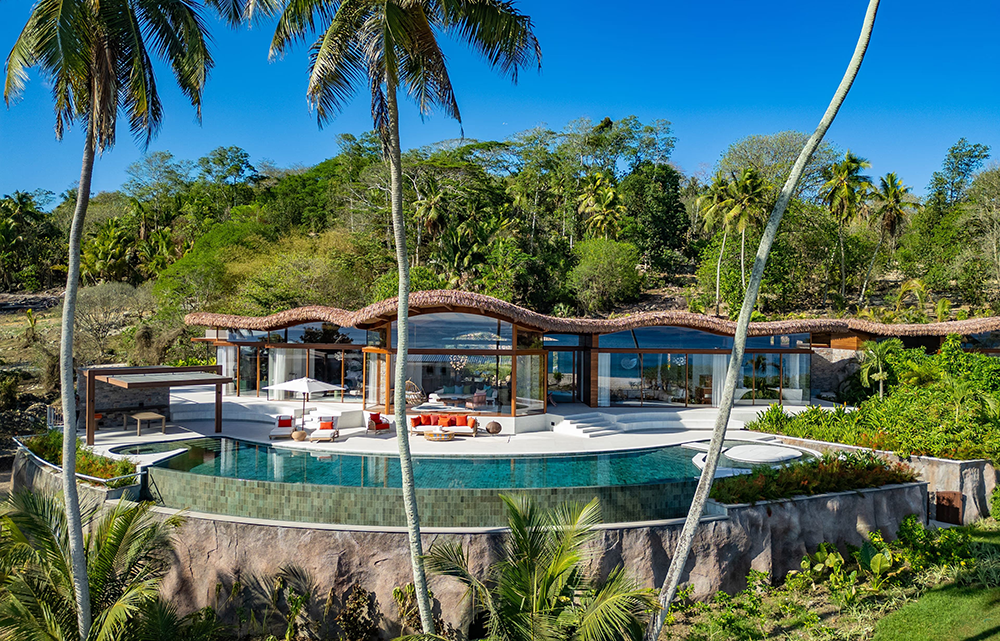 Banyan trees in the Fregate Island forest