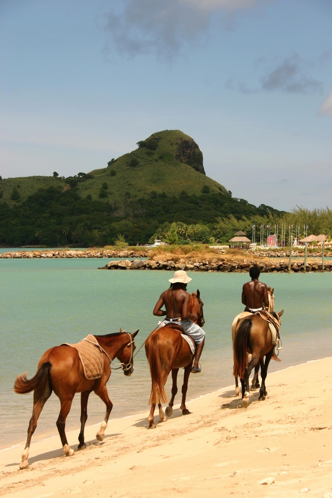beach horse ride st lucia