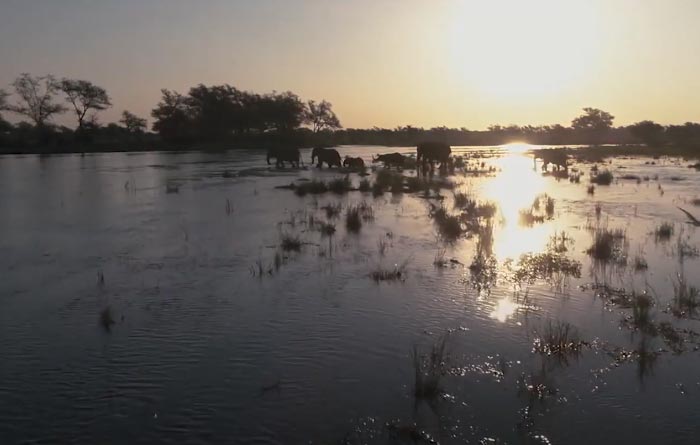 Zimbabwe Safari