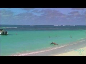 Travel Guide: Anguilla